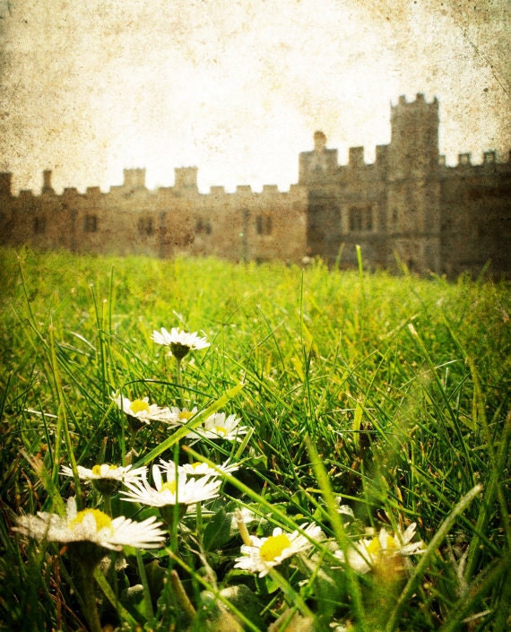 Windsor Royal Castle "Windsor Daisies" near London in England, 8x10" Photography Print, Landscape, Grass and Flowers, Palace Architecture