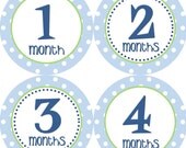 Baby Month Stickers Baby Boy Monthly Onesie Stickers Blue Green Polkadot First Year Onesie Month Stickers Boy Baby Shower Gift Photo Prop Ty