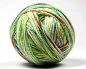 Springtime Hand Dyed Superwash Merino Yarn 100g