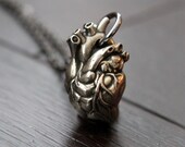 Anatomical Human Heart Pendant Necklace  in Solid White Bronze - The Design Choice Of the Museum Of Natural History Of London England