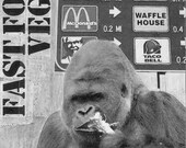 Fast Food Vegan zine