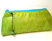 Wallet or Makeup Bag in Green and Blue