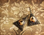 20% OFF Sale Vintage Inspired Jewelry Photo Earrings - Love - A Battlefield - original fine art photo -dead rose