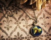 20% OFF Sale Vintage Inspired Jewelry Photo Necklace - Blue Velvet - original fine art photo - yellow flower