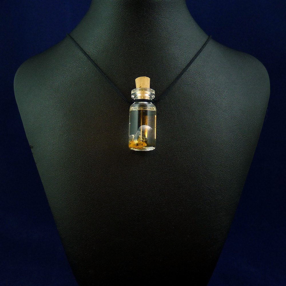 Hermit Crab Specimen Jar Necklace  - Handmade Science Inspired Jewelry