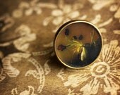 20% OFF Sale Fine Art Photo Jewelry Ring - Tulips in a Vase - Large - original photography - ready to ship - Valentines Day