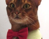 point collar in choice of color or print and interchangeable bow tie for cat