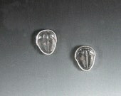 Sterling Silver Earrings of Fossil Moroccan Trilobites with 14karat Gold Posts ePA3
