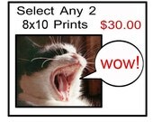 Choose Any 2 8X10 Fine Art Prints for 30.00