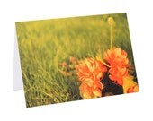 Filtered Flowers - Analog Photography - Greeting Card