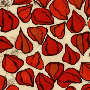 Laura Gunn Scattered Pods in Spice
