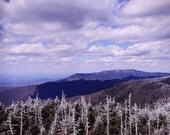 Wintry View of the Tennessee Appalachian Mountains - 11x14 fine art print