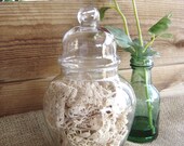 SALE - Vintage Large Apothecary Jar with Lid