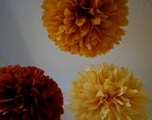 GingerRoot... 3 poms Il_170x135
