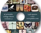 Piddix limited edition CD with Nearly 2000 Squares on 46 Digital Collage Sheets for just 19.95