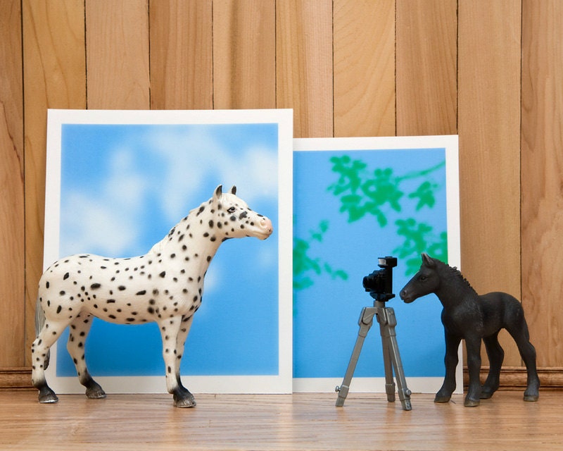 horse art, spotted and black horse, clouds, sky blue, miniatures - The Horse Whisperer 8 x 10