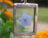 Silver Soldered Glass Pendant with a Real Forget Me Not Flower