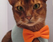 Sweet Round Collar in choice of color or print & interchangeable bow tie