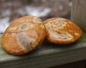 Linen Look Salt and Pepper Shakers set of 2 Shakers Shiny Pumpkin