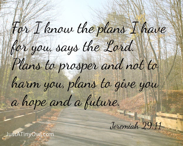 For I Know the Plans I Have for You (Jeremiah 29:11) - 8x10 Photographic Art Print on Metallic Paper