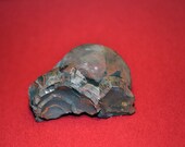 Hematite - Kidney Ore
