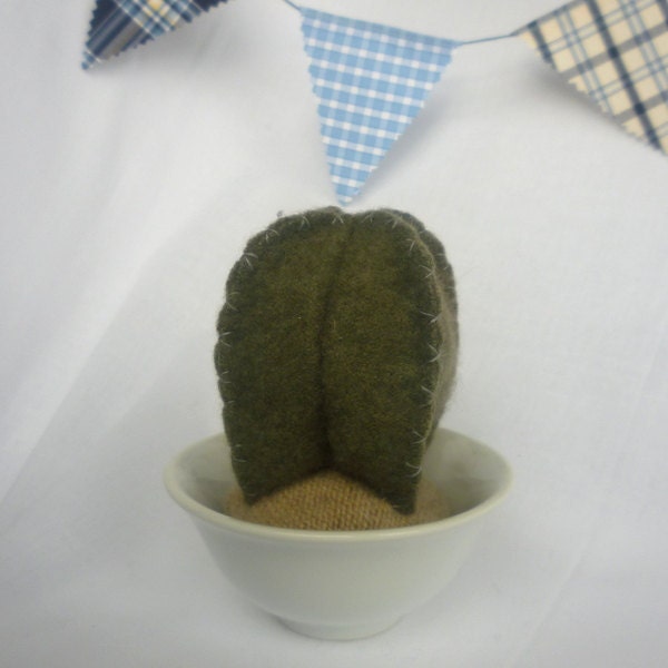Recycled Cashmere Plush Small Olive Green Cactus