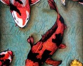 Koi Colored Pencil/Pen Drawing Print