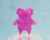 PIMPED PEEP pink two-headed chick rogue taxidermy sculpture for cabinet of curiosities