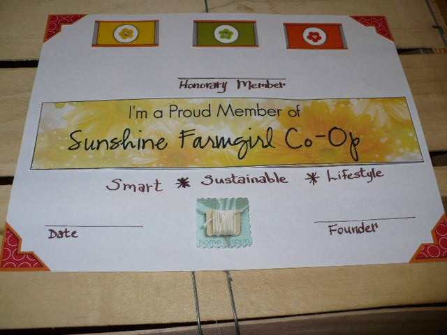 Advertising One Week Front Page  - Sampler Program - Blog Feature