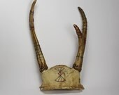 deer antlers hand embroidered - no. 2