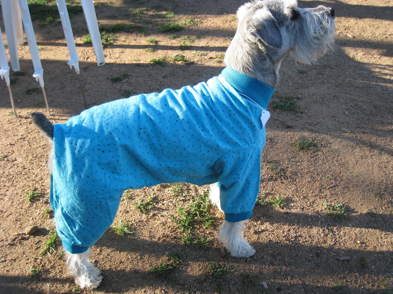 Adorable Custom Made Dog Pajamas  - Jamz Size 18