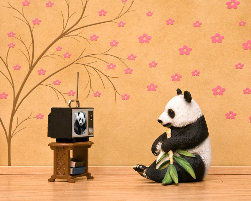 panda bear print, black and white, blossoms, diorama, warm tone - Panda Planet 8 x 10