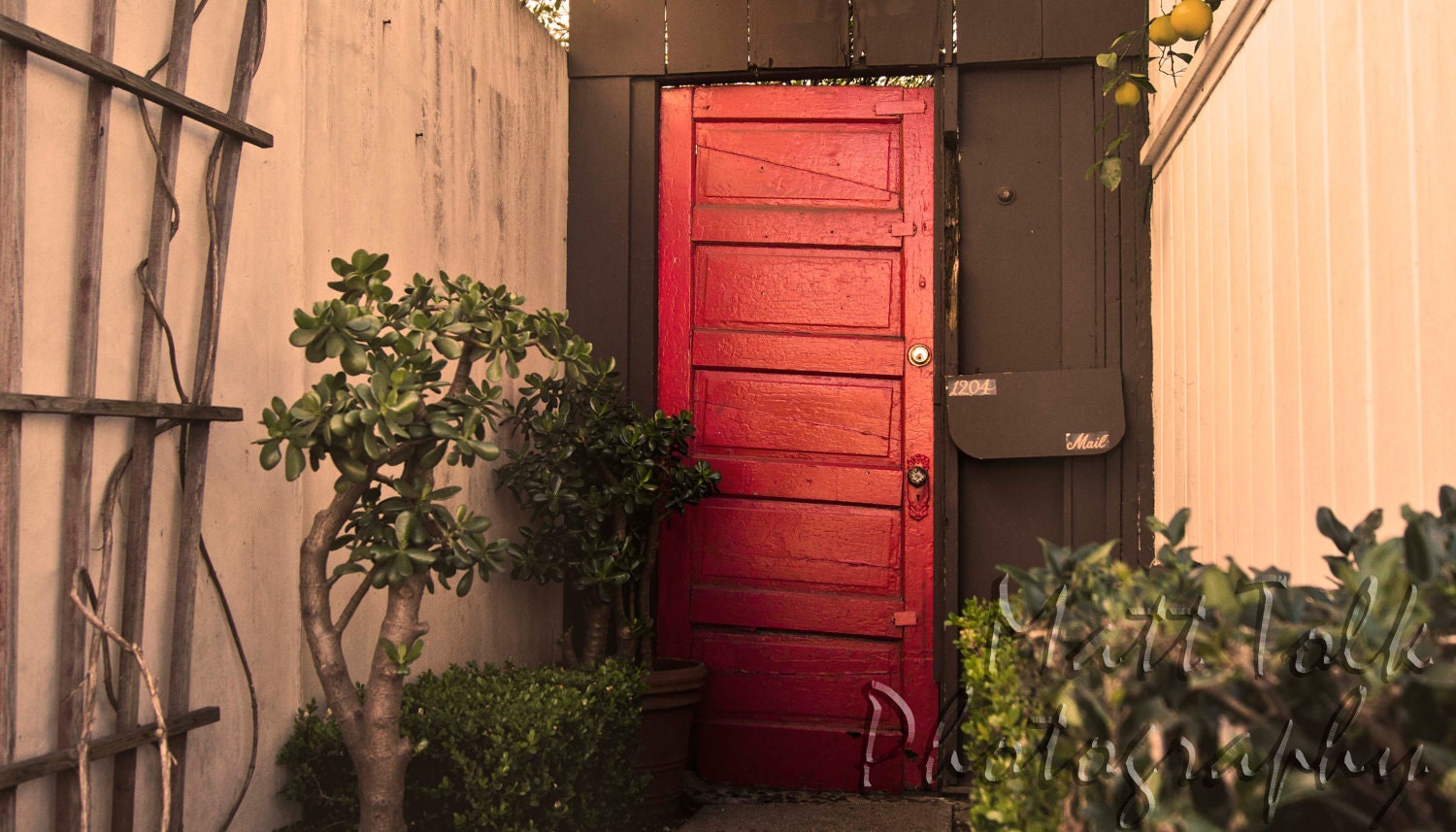 California Photography - Red Door - Vintage, Venice Beach, California, Fine Art Photography, Beach Photography, Plants