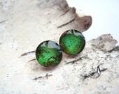 Real Butterfly Wing Earrings - tiny green birdwing posts, studs