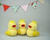 Duck Mamma with Two Ducks