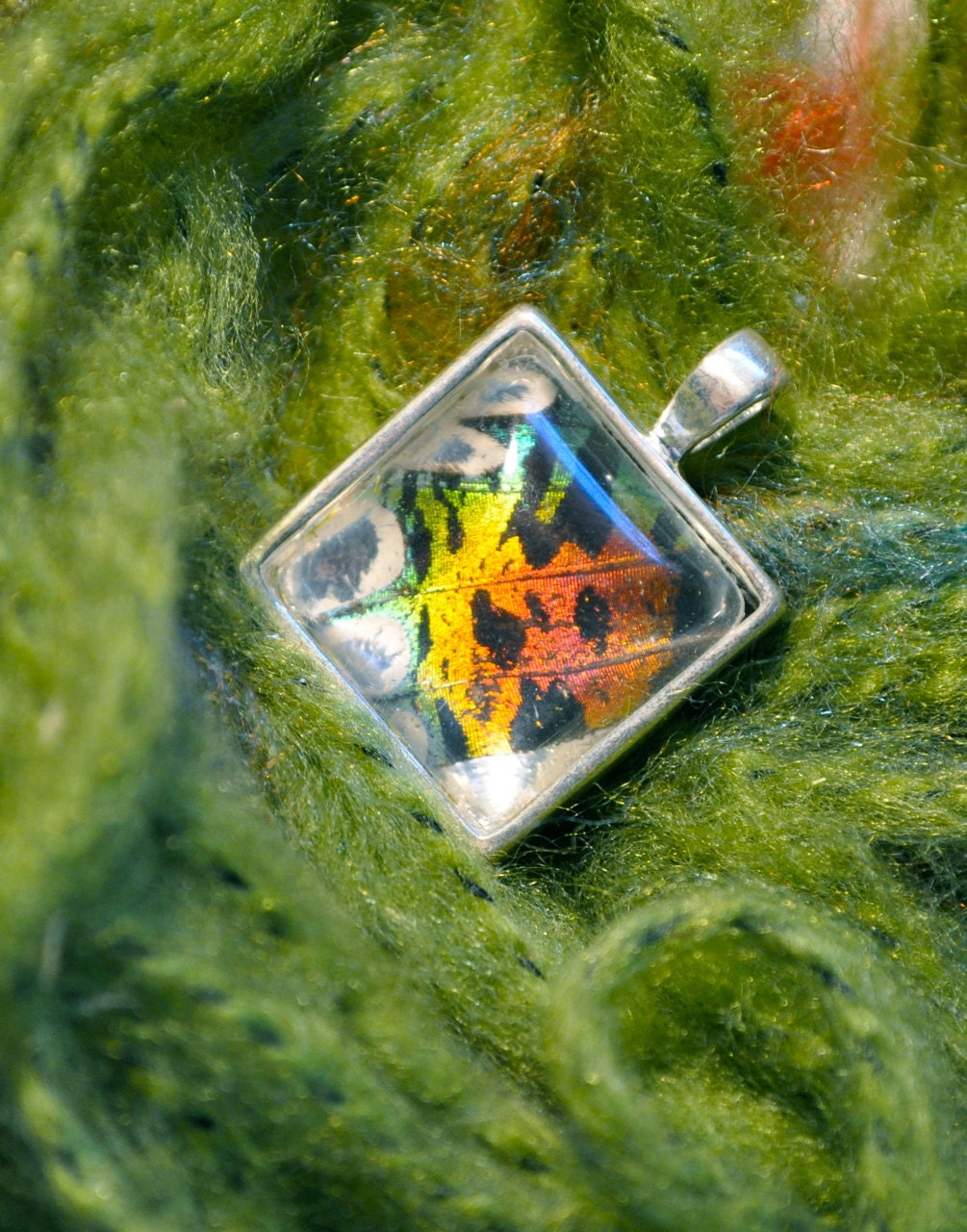 SALE Real Moth Wing Pendant