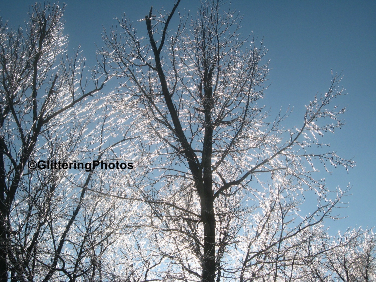 Naturally Glittering Ice No 3 Fine Art Photograph Print Metallic