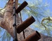 Garden Abstract