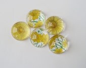 Flower Magnets, Vintage Yellow Flowers, Kitchen Magnets, Office Magnets, Bubble Magnets, Teacher Gift Set