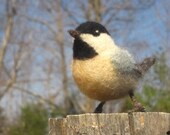 Needle felted Chickadee bird
