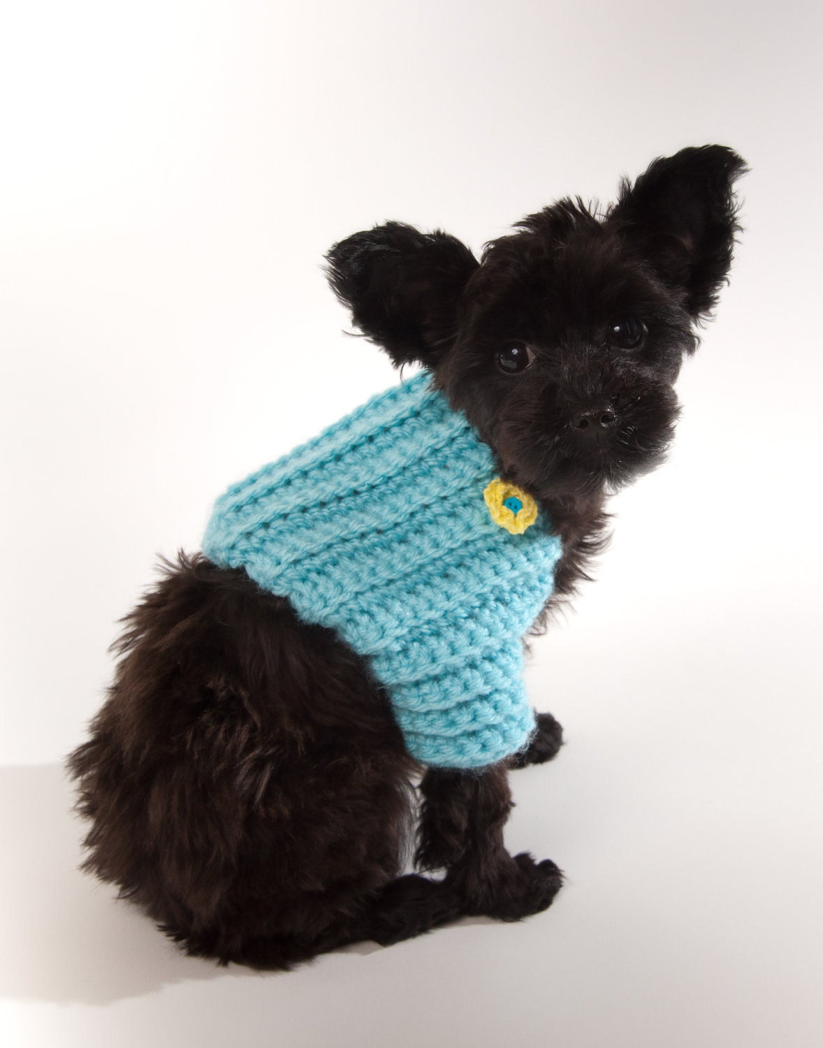 Blue Crocheted Dog Sweater Shrug with yellow crocheted flowers