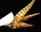 Handmade Feather Eyelashes - Autumn Forest Fairy - SALE
