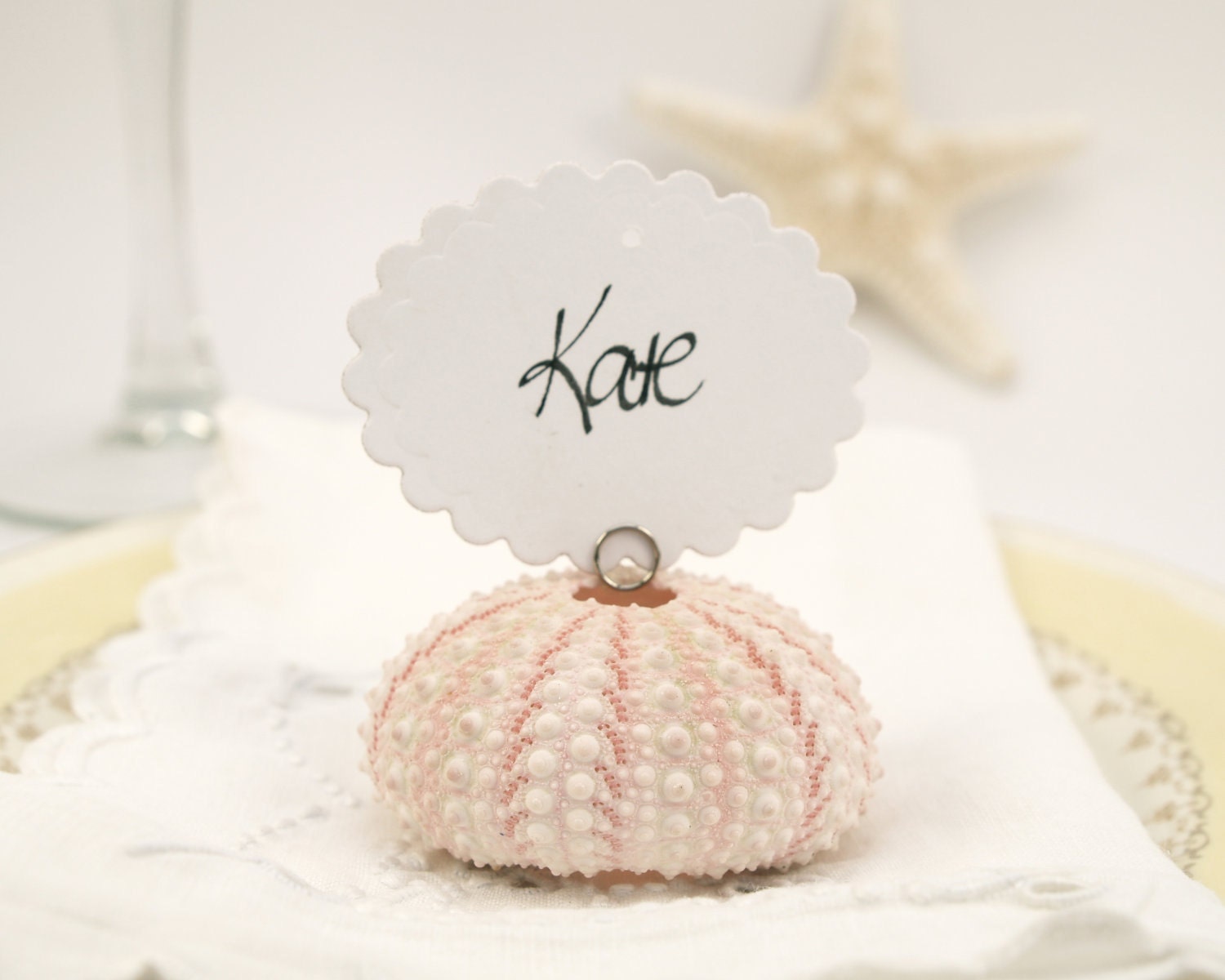 Beach Wedding Escort Cards, 10 Shell Guest Name Place Cards for your Wedding Table Decoration, Pink Urchin Shabby Chic, Sea - FairyfolkWeddings