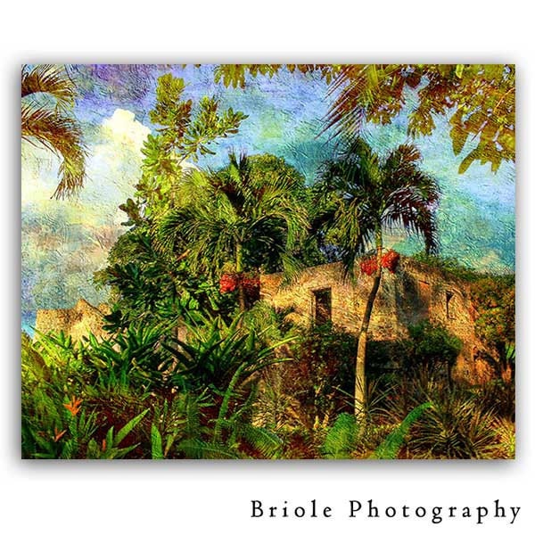 Caneel Bay Caribbean Sugar Mill Ruin Photograph, 8"x10" Affordable Tropical Landscape Print. St. John, USVI.