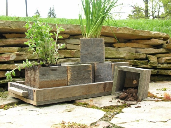 Modular Herb Garden With Tray - SouthsideWoodworking