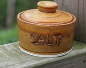 Salt Jar Spice Jar Lidded  Ready to Ship Spiced Pumpkin