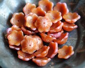 6 Summer Peach - Czech Glass Cup Flower Beads