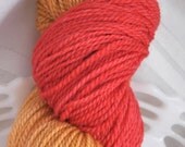 Ketchup and Mustard  fingering weight superwash merino yarn BARE SHEEP YARN