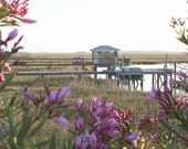 Spanish Hammock Evening - Tybee Island, GA - An original photograph by Melissa Schneider