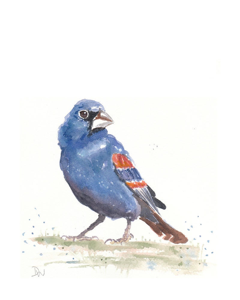 SALE - Bird Watercolor Painting - Original Art, Blue Grosbeak, 8x10